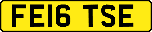 FE16TSE