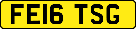 FE16TSG