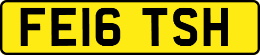 FE16TSH