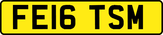 FE16TSM
