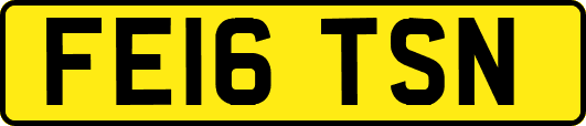 FE16TSN
