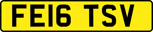 FE16TSV
