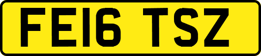 FE16TSZ