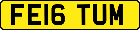 FE16TUM