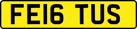 FE16TUS