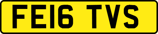 FE16TVS