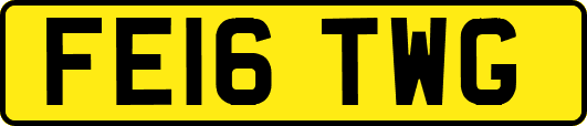 FE16TWG