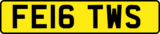 FE16TWS