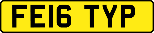 FE16TYP
