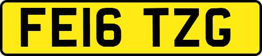 FE16TZG