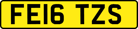 FE16TZS