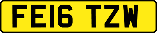 FE16TZW