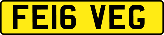 FE16VEG