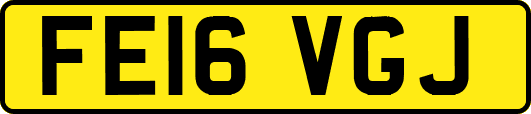 FE16VGJ