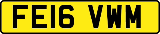 FE16VWM