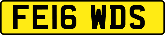 FE16WDS