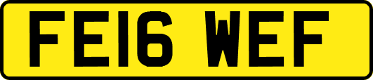 FE16WEF