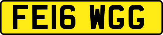 FE16WGG