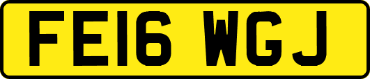 FE16WGJ