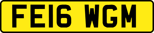 FE16WGM