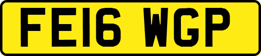 FE16WGP