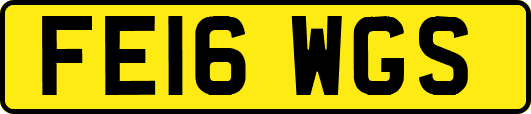 FE16WGS