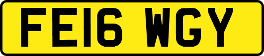 FE16WGY