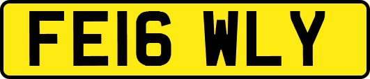FE16WLY