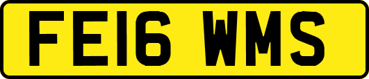 FE16WMS