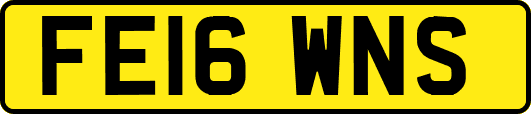 FE16WNS