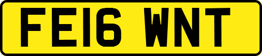 FE16WNT