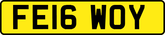 FE16WOY