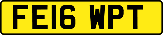 FE16WPT