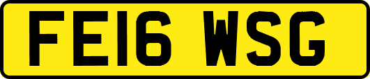 FE16WSG