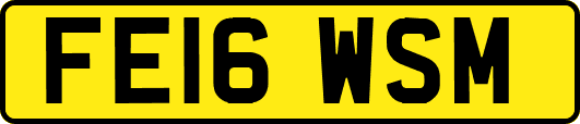 FE16WSM