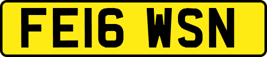 FE16WSN