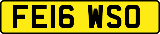 FE16WSO