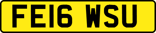 FE16WSU