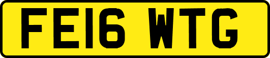 FE16WTG