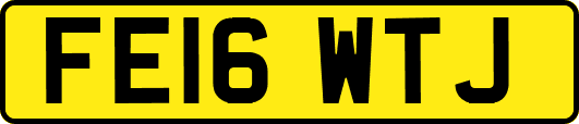 FE16WTJ