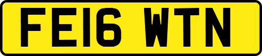 FE16WTN