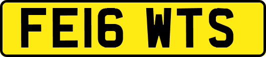 FE16WTS