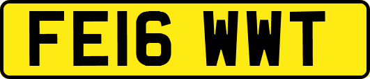 FE16WWT
