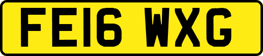 FE16WXG