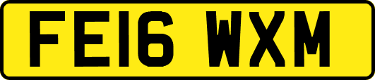 FE16WXM