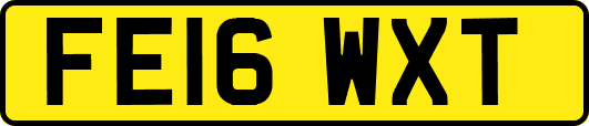 FE16WXT
