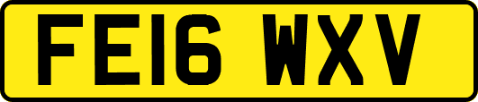 FE16WXV