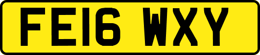 FE16WXY