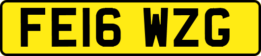 FE16WZG