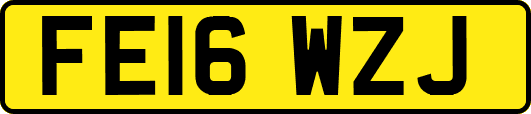 FE16WZJ